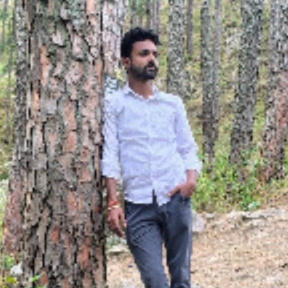 87801356 7384 medium large