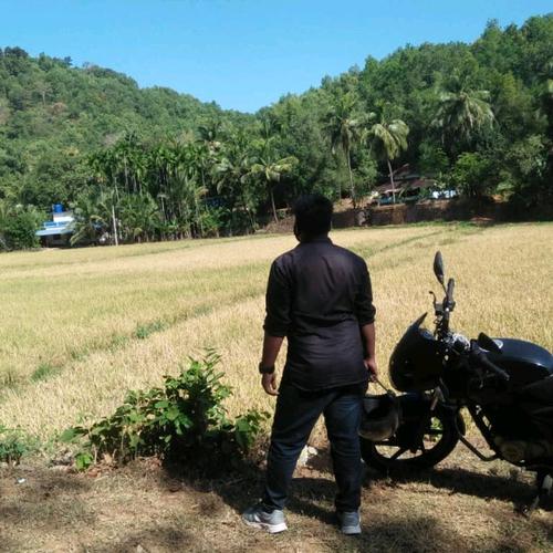 51359843 6513