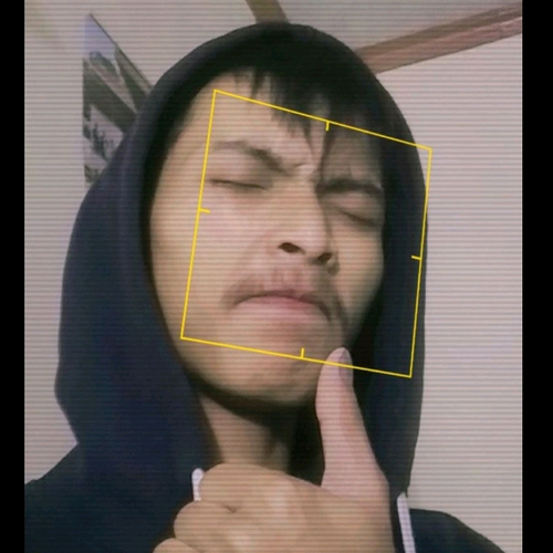 64823481 8041