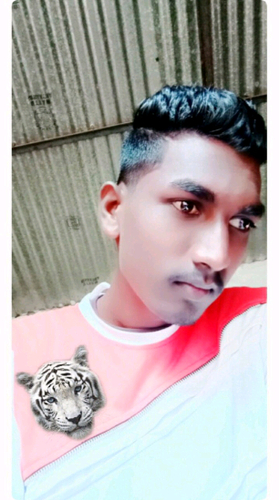 51125674 6948