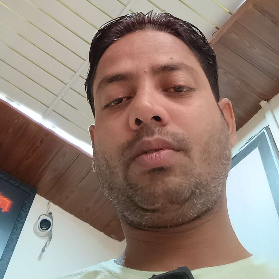 84597184 7954 medium large