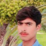 Waqar Ali Maitlo's photo