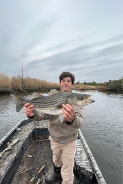 Luke Cadieu's photo