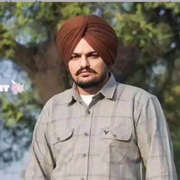 73972245 3824 medium large