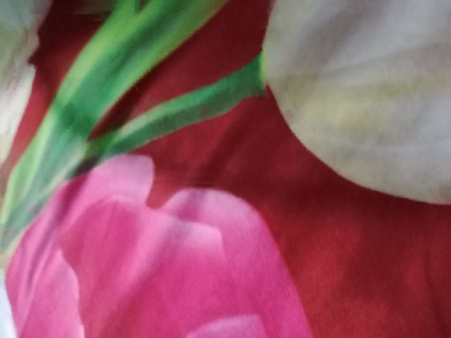 82200678 9568 medium large