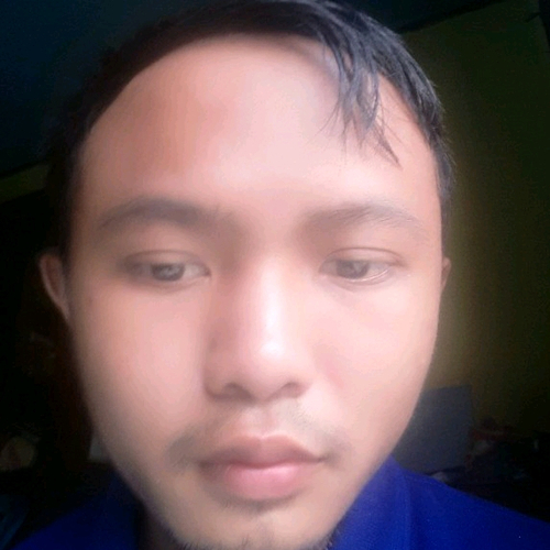 50478695 5156