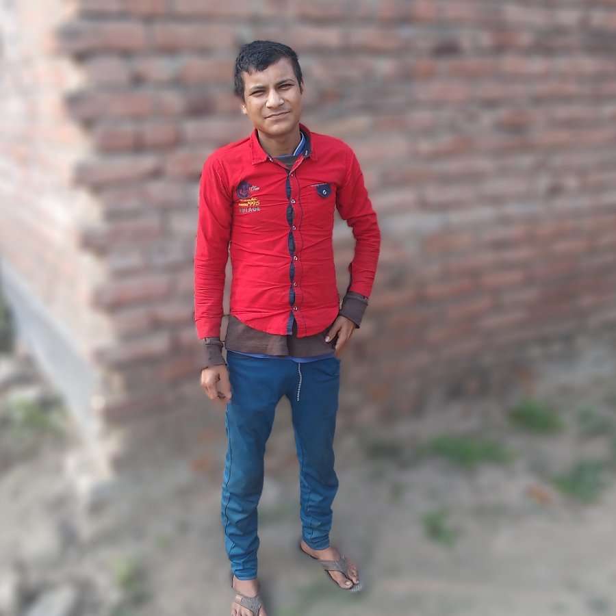 78290825 2940 medium large