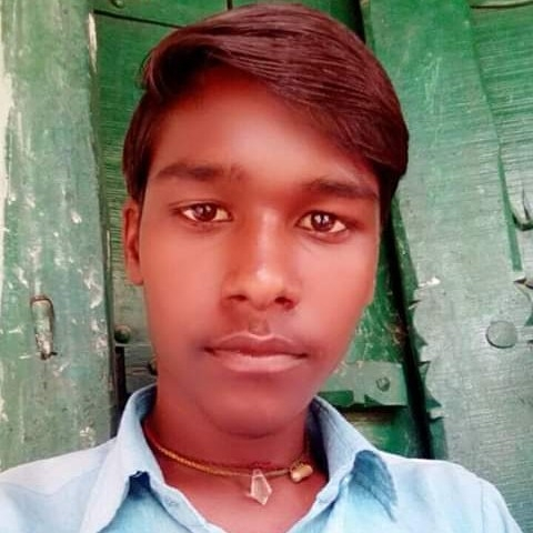 44516797 3133