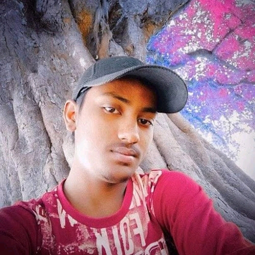 53133542 9554