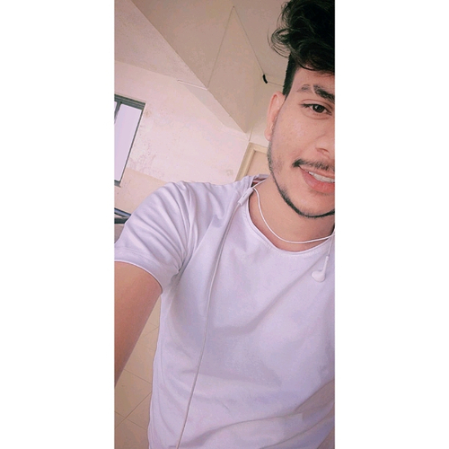71166589 4048