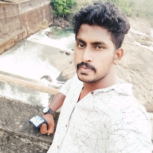 54180569 3772