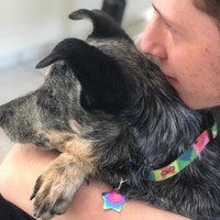 Jack Harrison's photo