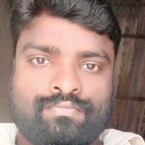 48587294 8683