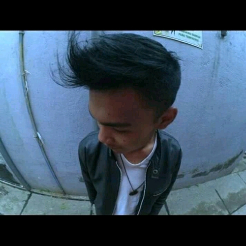 50117265 200
