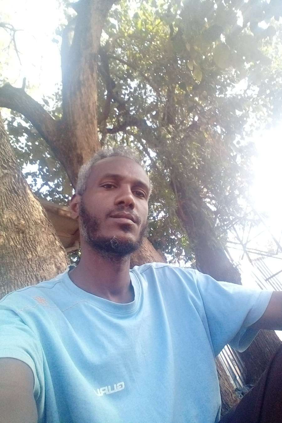 91106915 8794 medium large