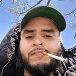 Belmontfella 's photo