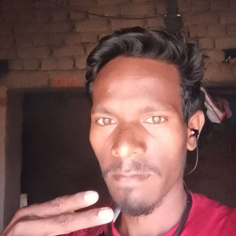 77791338 4831 medium large