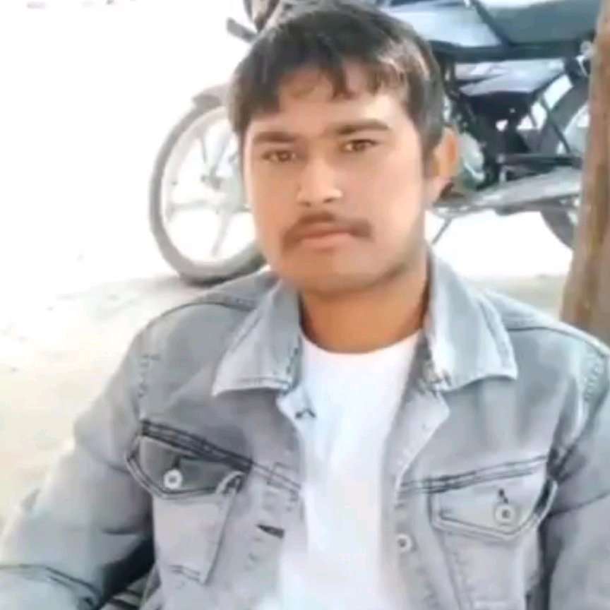 74742596 7722 medium large