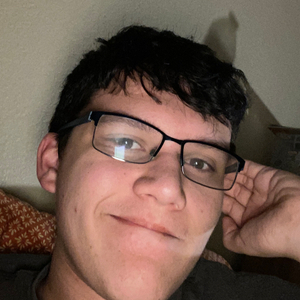 45233929 259