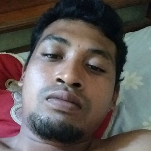 54909629 3331