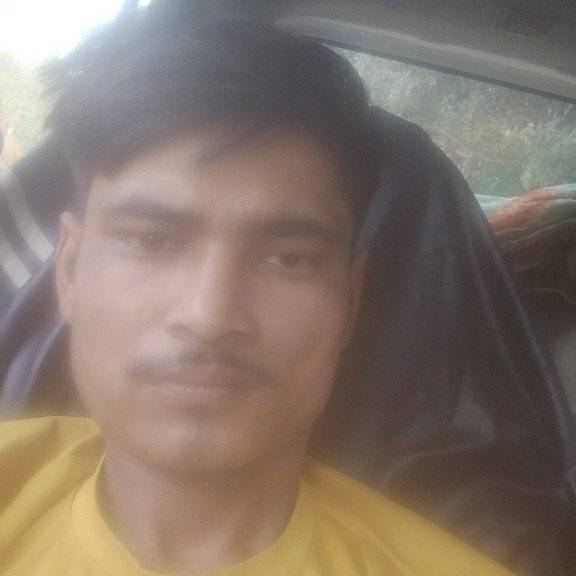 84013103 7329 medium large