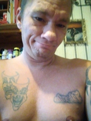 50828331 4931