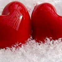 Harinder singh's photo