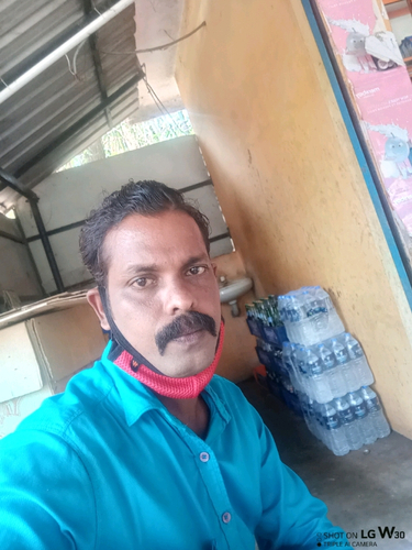 50380168 2913