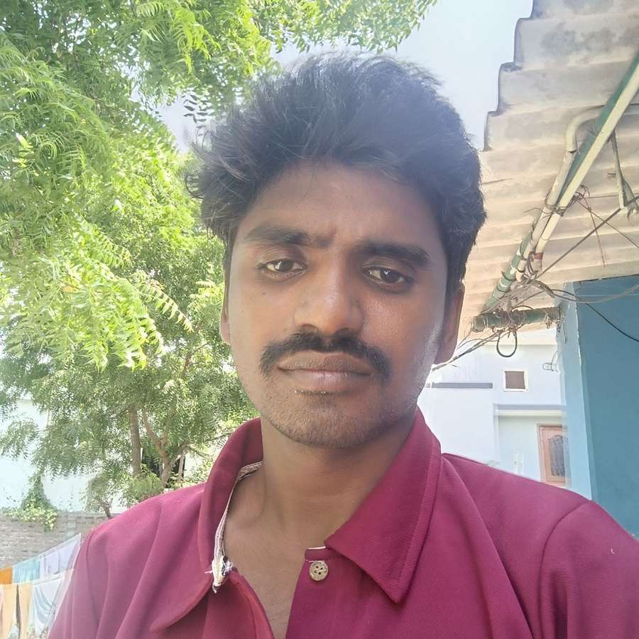 80743643 3023 medium large