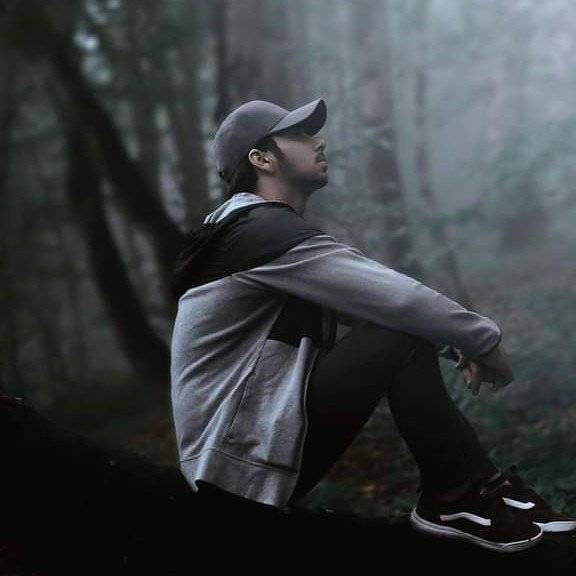 77748381 2365 medium large