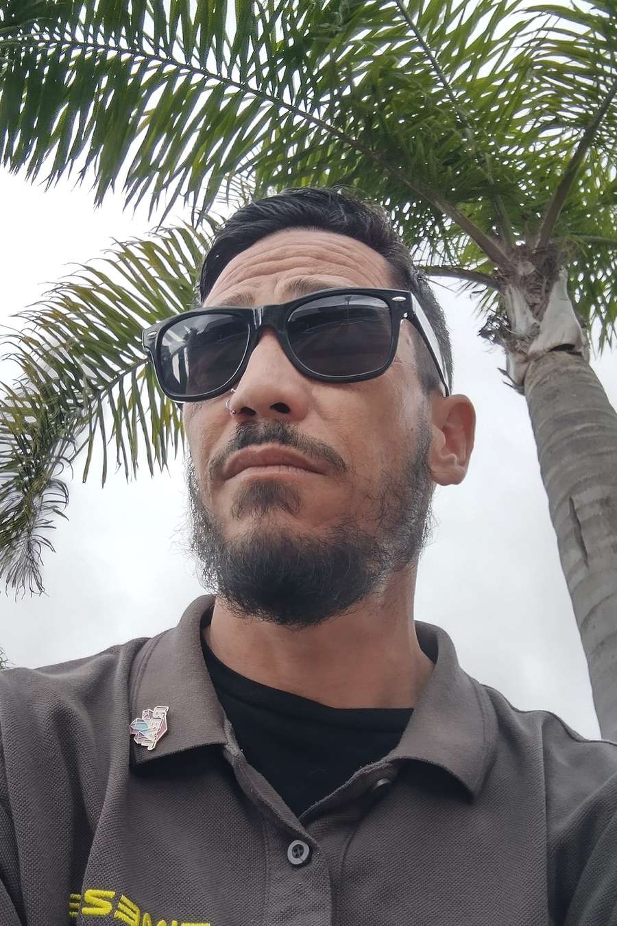 91099097 1390 medium large