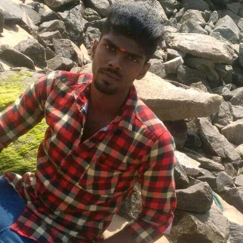 51875662 3816