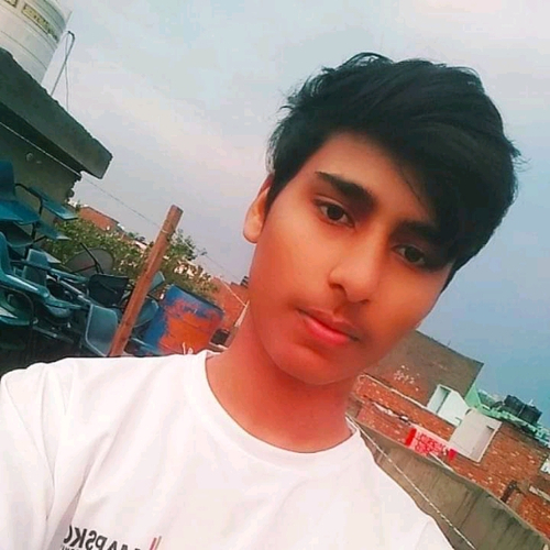 51368778 4974