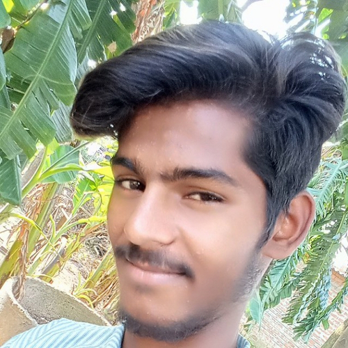 44963775 7229