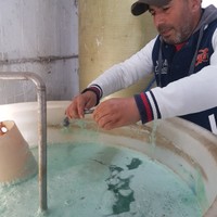 zahmoulb@gmail.com 's photo