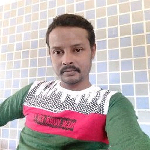 50993378 6533