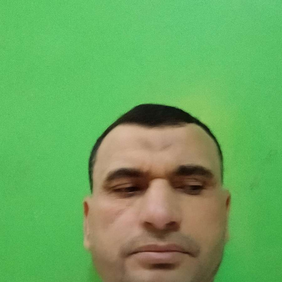 85818213 3869 medium large