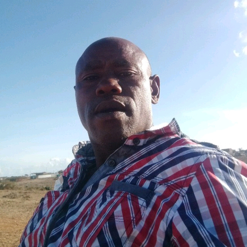 70658451 1464