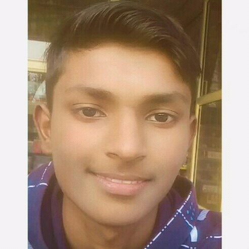 55386742 1811