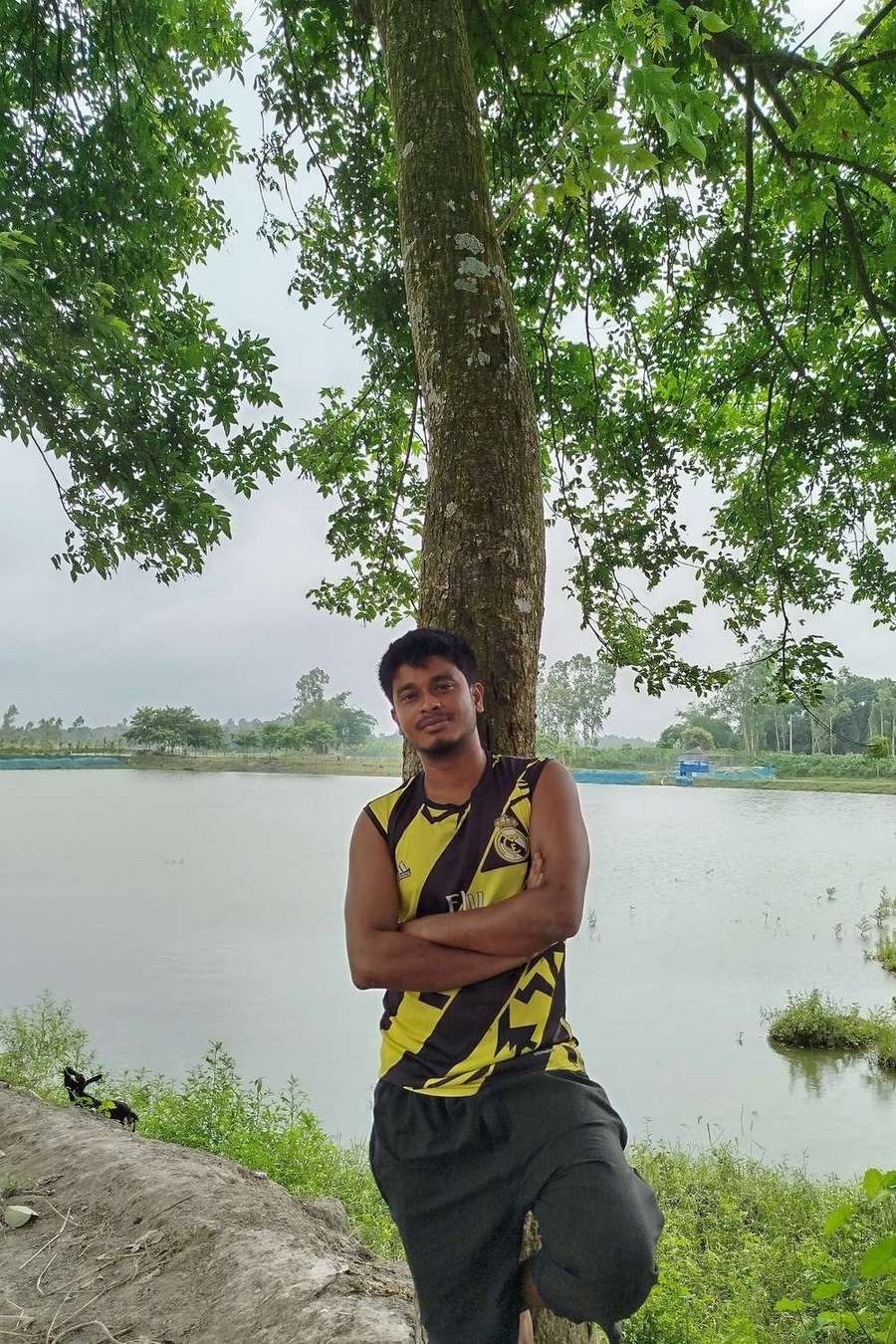 24420303 4862 medium large