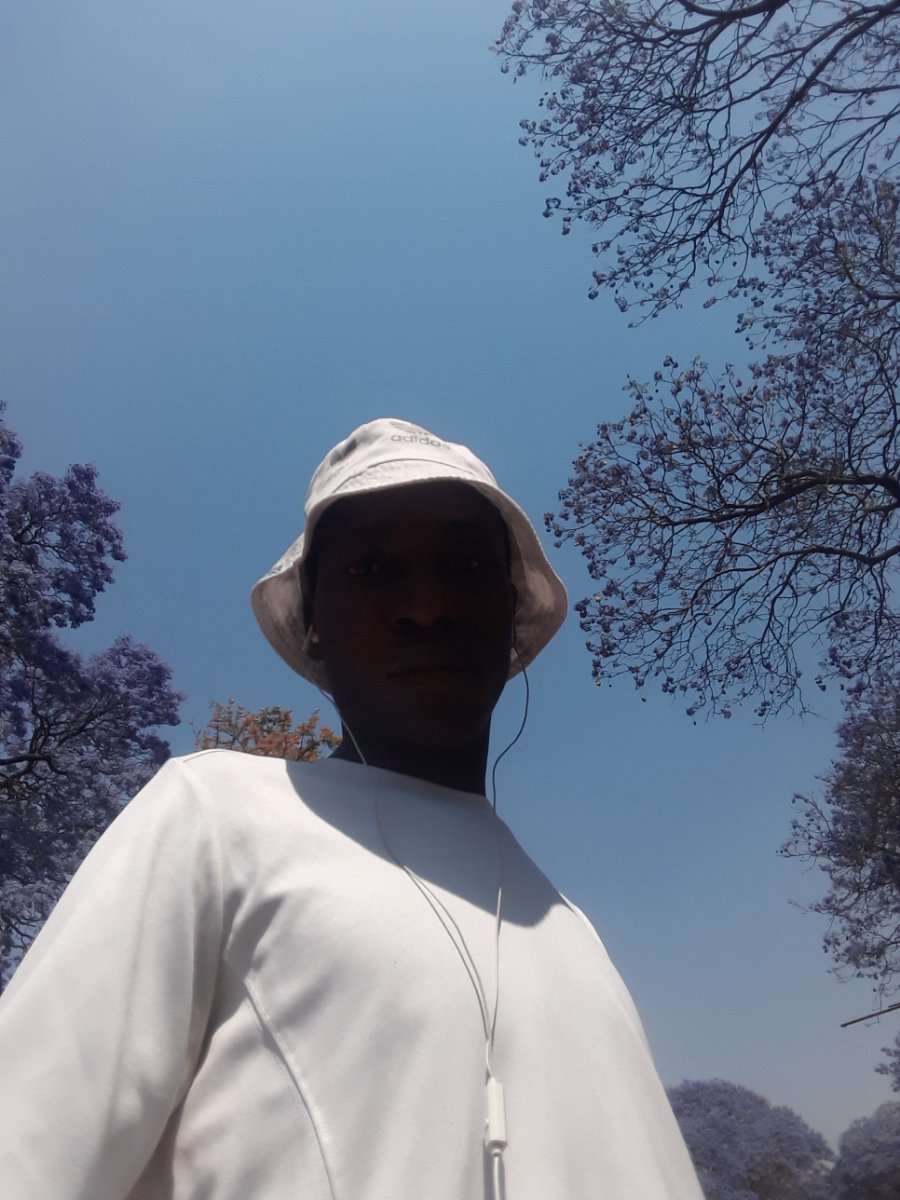 76993895 4161 medium large