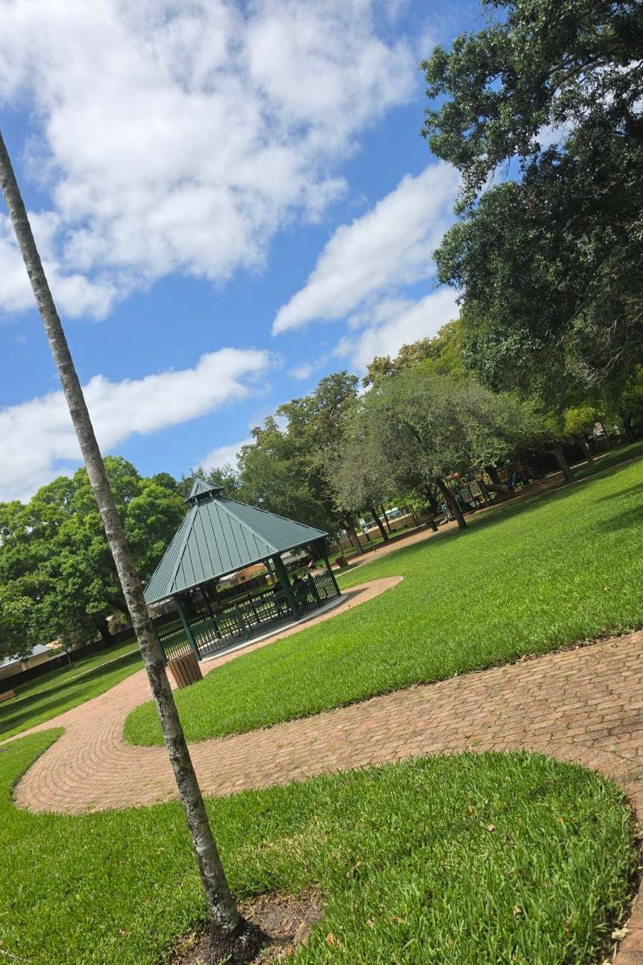 93035845 3897 medium large