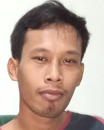 84386443 1991 medium large