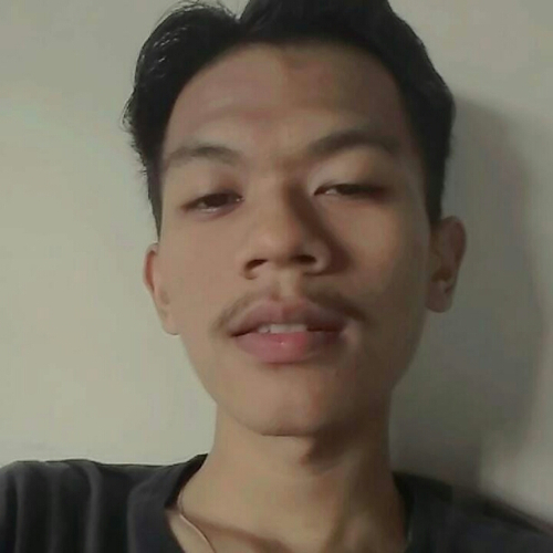 48978667 1363