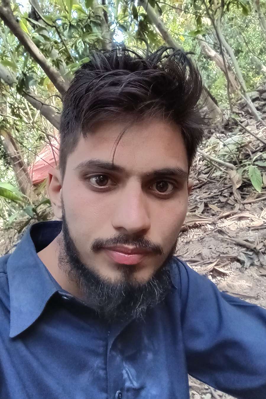87734722 2294 medium large