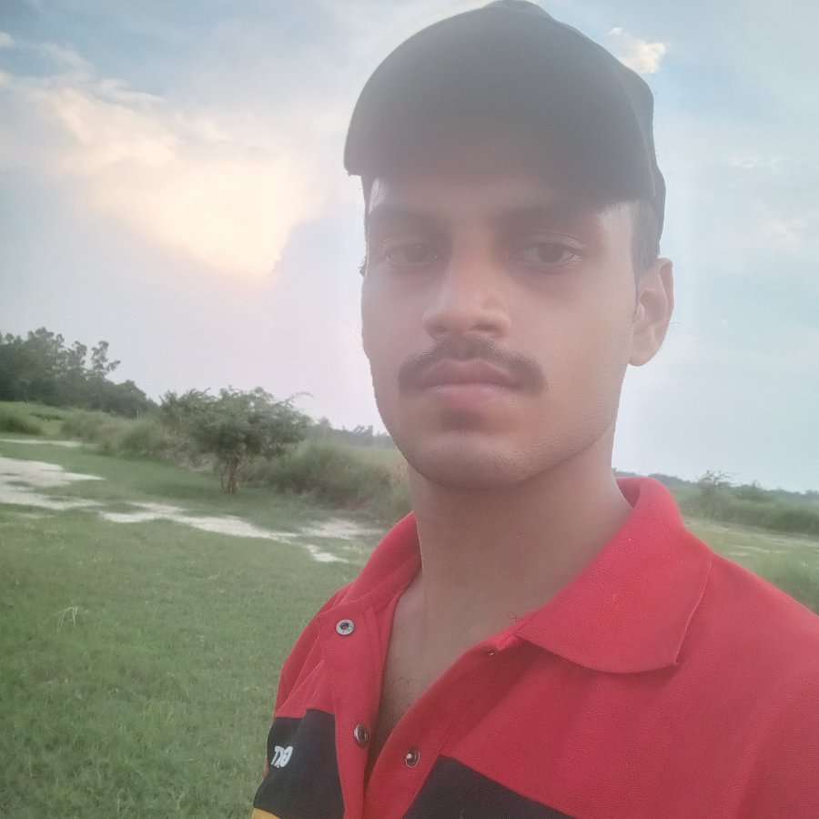 82092304 7288 medium large