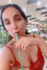 carrolcampatgml's photo