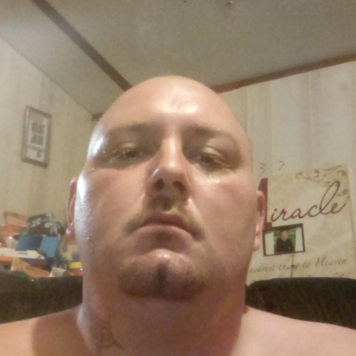44197279 6169