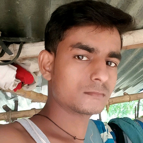 52248934 7439