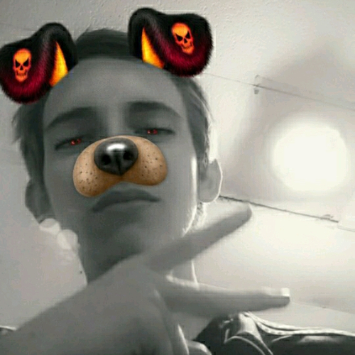 49664490 708